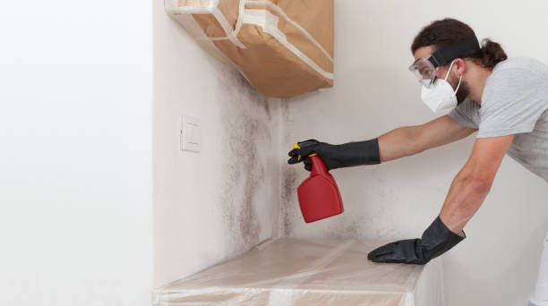 Professional Commercial Mold Remediation technician working in Levering, MI